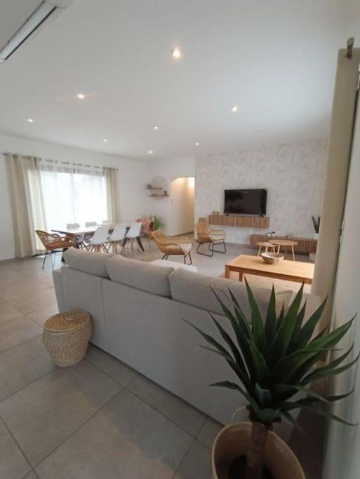 Villa Des Rives Du Tarn Avec Jacuzzi Montans Exteriör bild