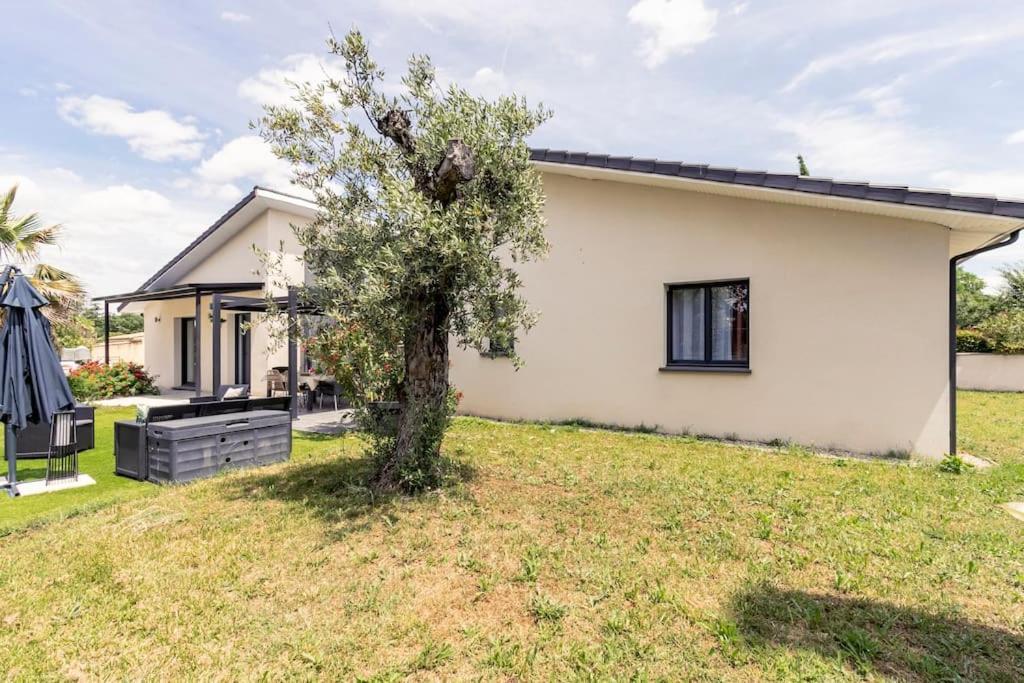 Villa Des Rives Du Tarn Avec Jacuzzi Montans Exteriör bild