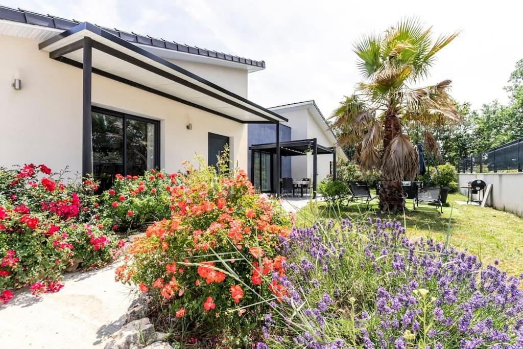 Villa Des Rives Du Tarn Avec Jacuzzi Montans Exteriör bild